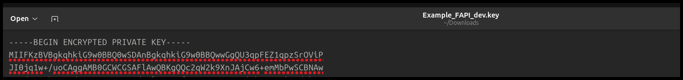 Figure 84. FAPI Credential—Text Editor View of the Private Key
