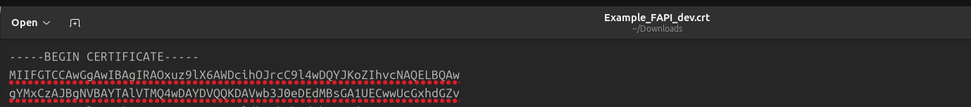 Figure 85. FAPI Credential—Text Editor View of Certificate