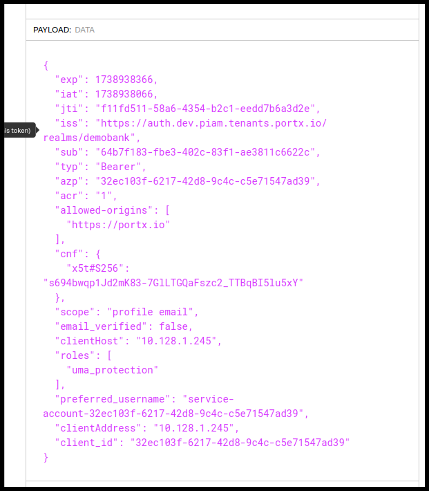 Figure 88. Optional Validation in JWT.io